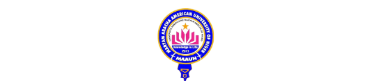 Maryam Abacha American University of Niger